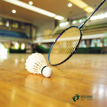 國標(biāo)運(yùn)動(dòng)籃球木地板價(jià)格行情