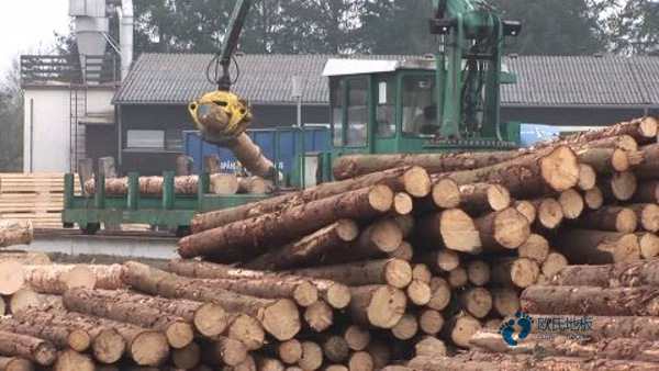 籃球場(chǎng)木地板施工工藝1