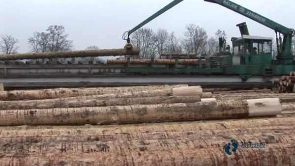 籃球場(chǎng)木地板施工工藝2