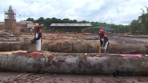 籃球場(chǎng)木地板施工技術(shù)要求2