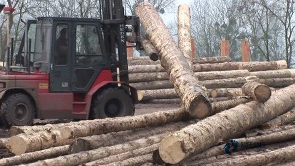 籃球場(chǎng)木地板施工技術(shù)要求3