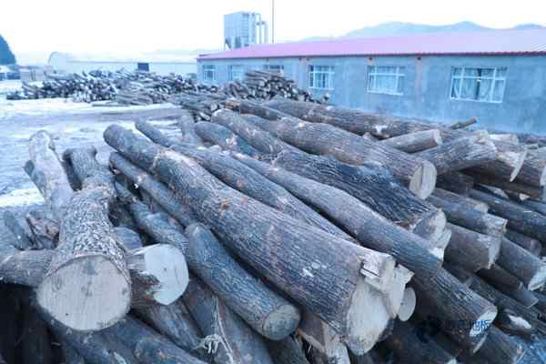 校園運(yùn)動(dòng)籃球木地板價(jià)格多少錢