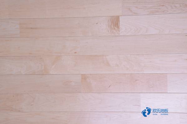 室內體育運動木地板2