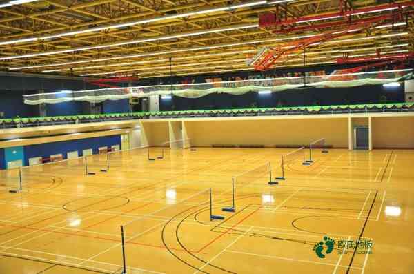 國標運動籃球木地板價錢