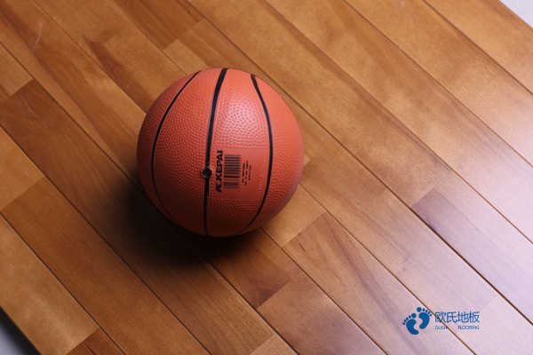 楓木地板鋪籃球室2